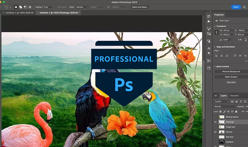 AC Pro – Visual Design using Adobe Photoshop